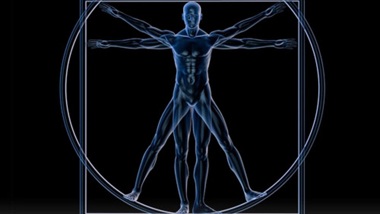 Blueprint of male figure
