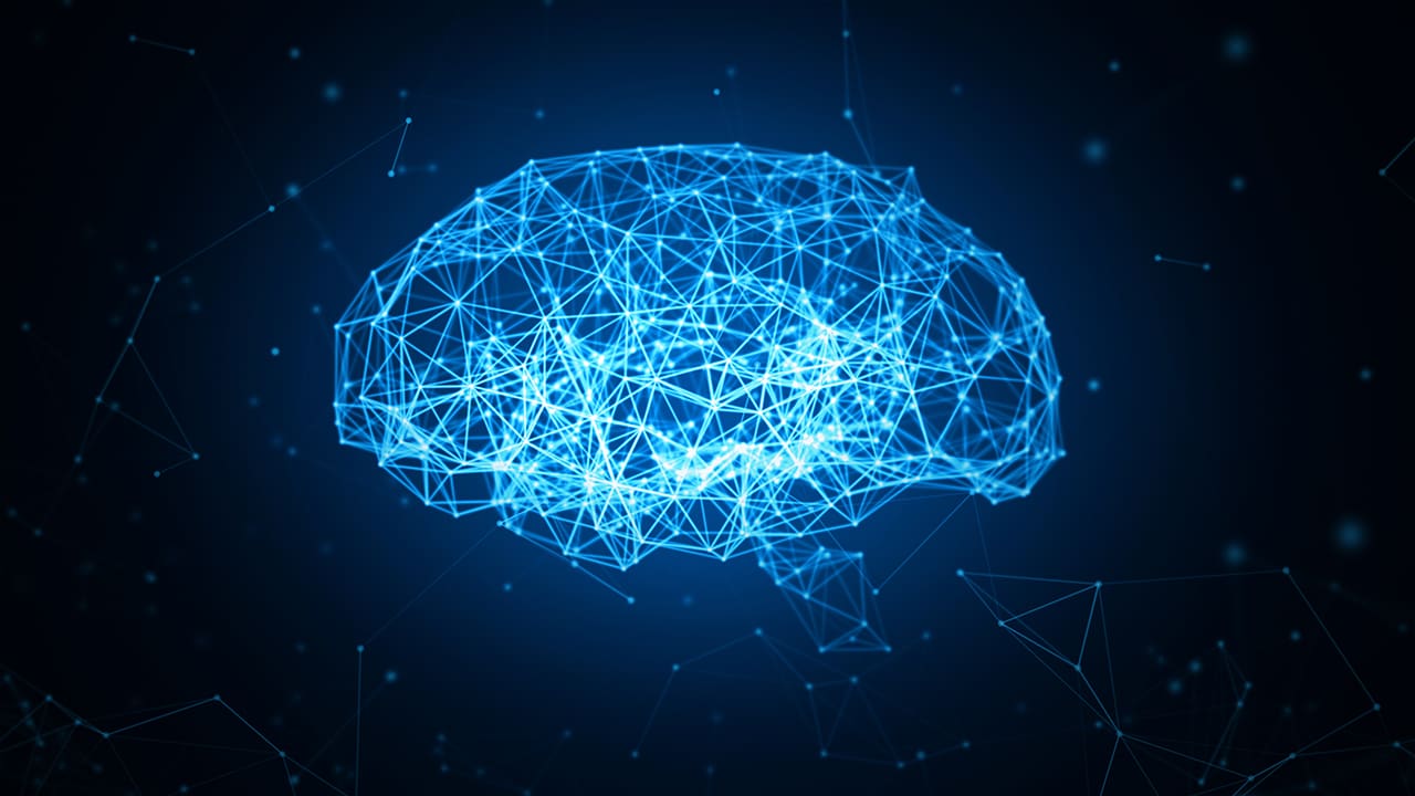 Neural connections in a brain.